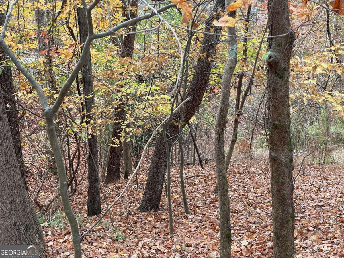 Lot 468 Cherokee Court Ellijay GA 30540