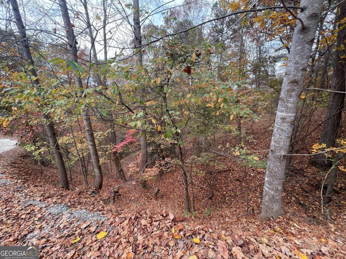 Lot 468 Cherokee Court Ellijay GA 30540