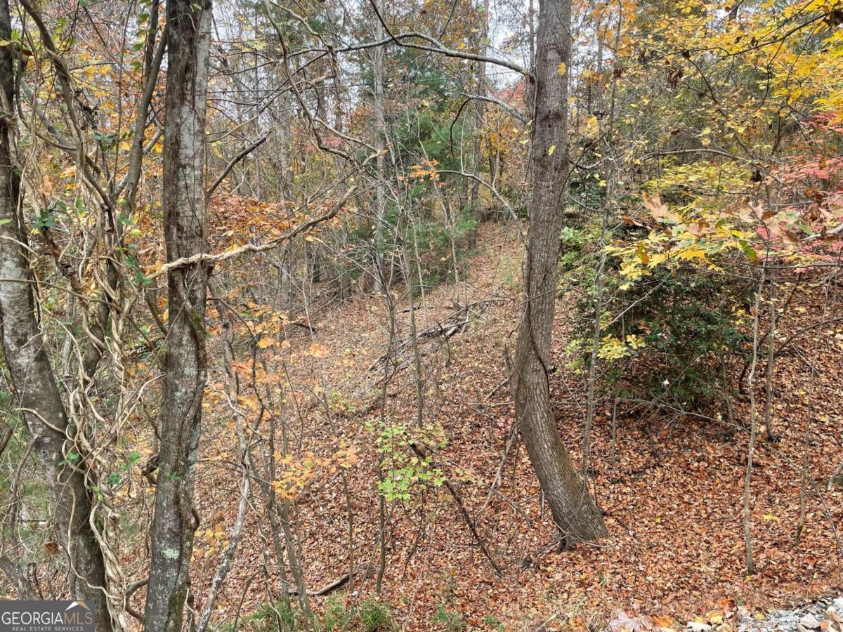 Lot 468 Cherokee Court Ellijay GA 30540