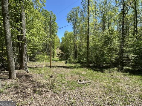 0 Buck Knob Road Scaly Mountain NC 28775