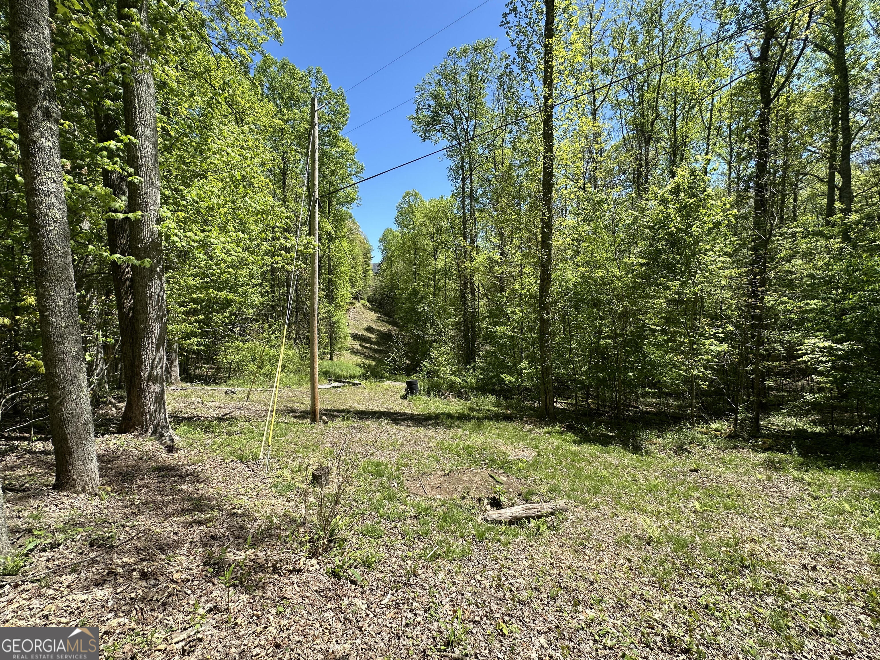 0 Buck Knob Road Scaly Mountain NC 28775