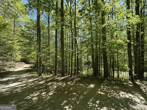 0 Buck Knob Road Scaly Mountain NC 28775