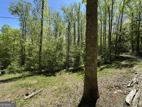 0 Buck Knob Road Scaly Mountain NC 28775