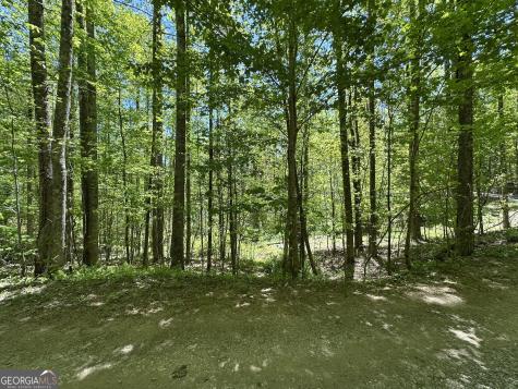 0 Buck Knob Road Scaly Mountain NC 28775