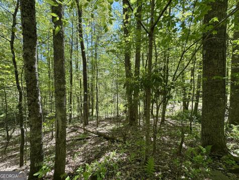 0 Buck Knob Road Scaly Mountain NC 28775