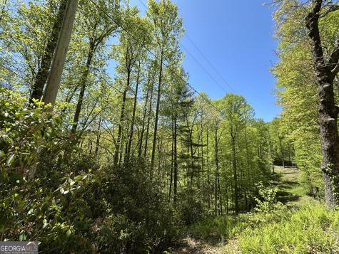0 Buck Knob Road Scaly Mountain NC 28775