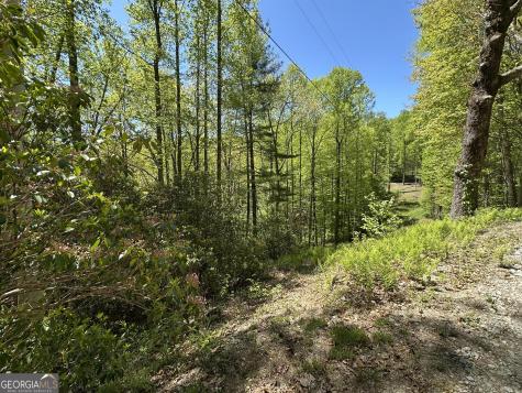 0 Buck Knob Road Scaly Mountain NC 28775