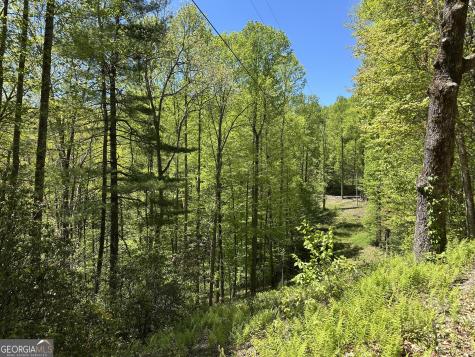 0 Buck Knob Road Scaly Mountain NC 28775