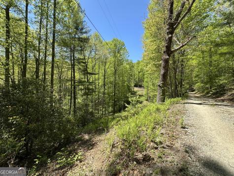 0 Buck Knob Road Scaly Mountain NC 28775
