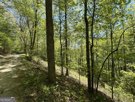 0 Buck Knob Road Scaly Mountain NC 28775