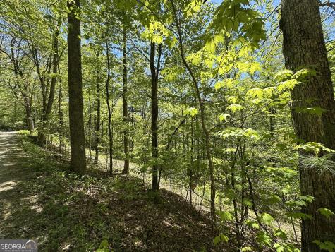 0 Buck Knob Road Scaly Mountain NC 28775