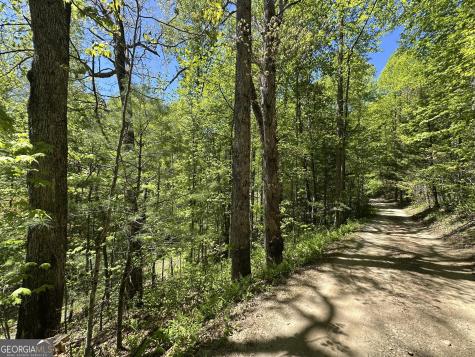 0 Buck Knob Road Scaly Mountain NC 28775