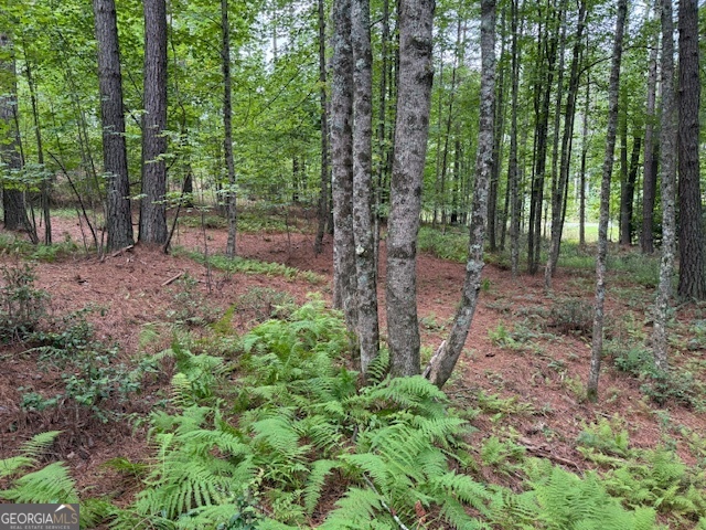 0 Deyton Drive Blairsville GA 30512