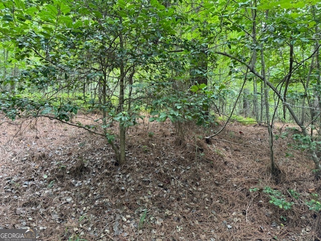 0 Deyton Drive Blairsville GA 30512