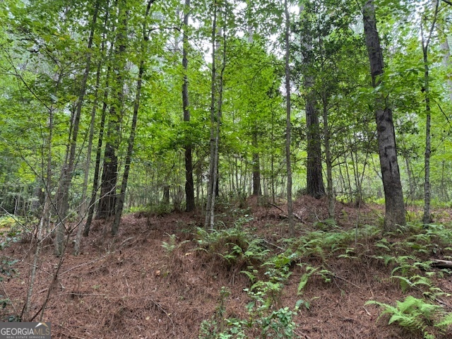 0 Deyton Drive Blairsville GA 30512