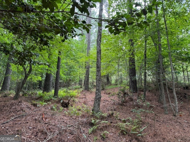 0 Deyton Drive Blairsville GA 30512