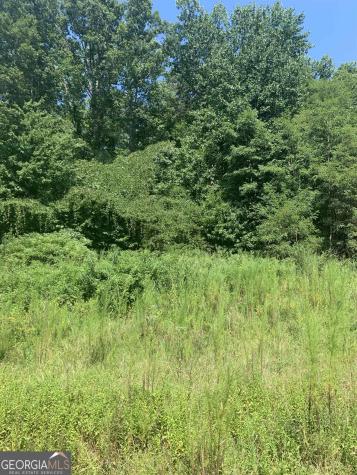 Lot 179 North Laceola Road Cleveland GA 30528
