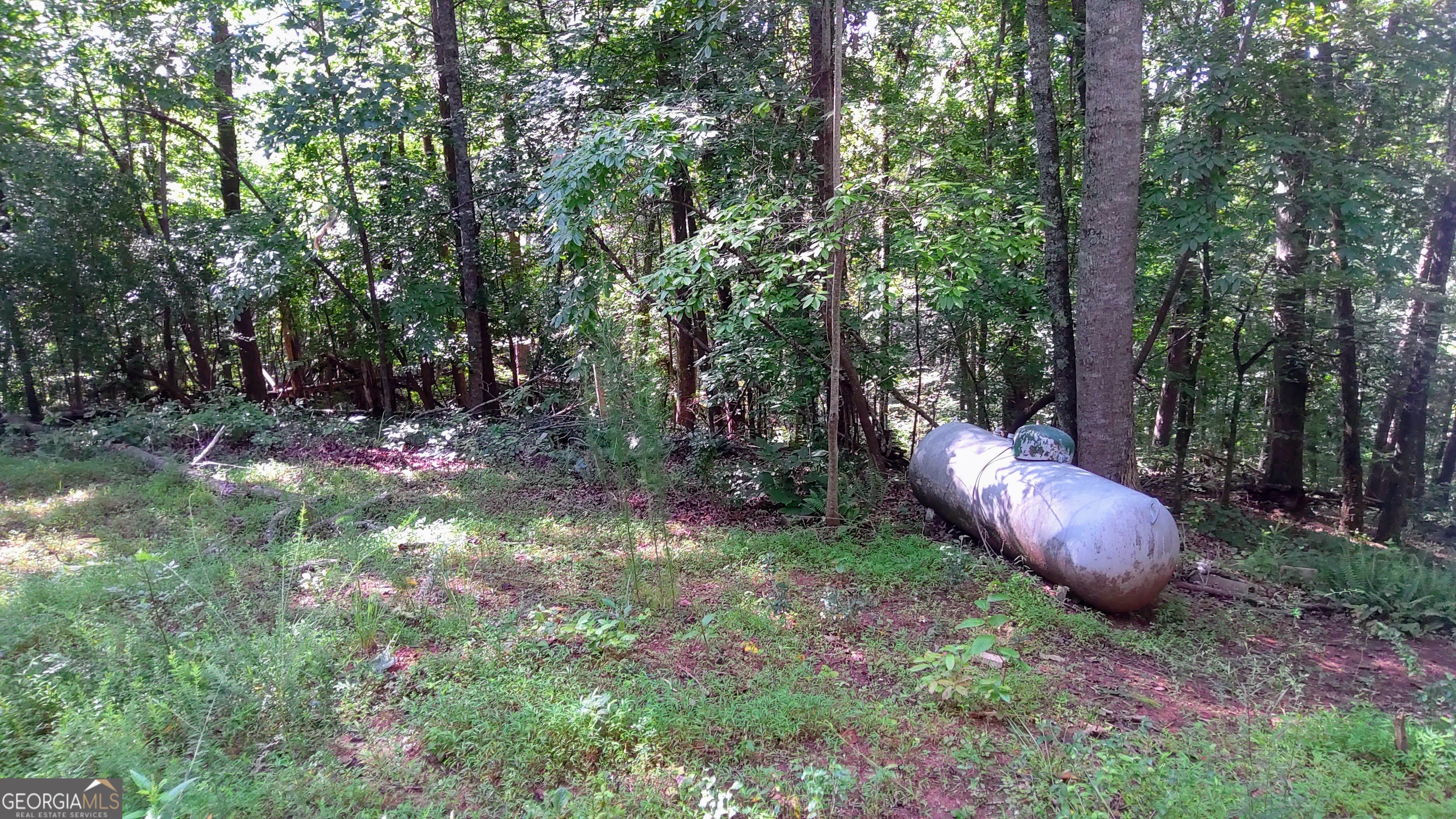 105 Rusty G Place Dawsonville GA 30534
