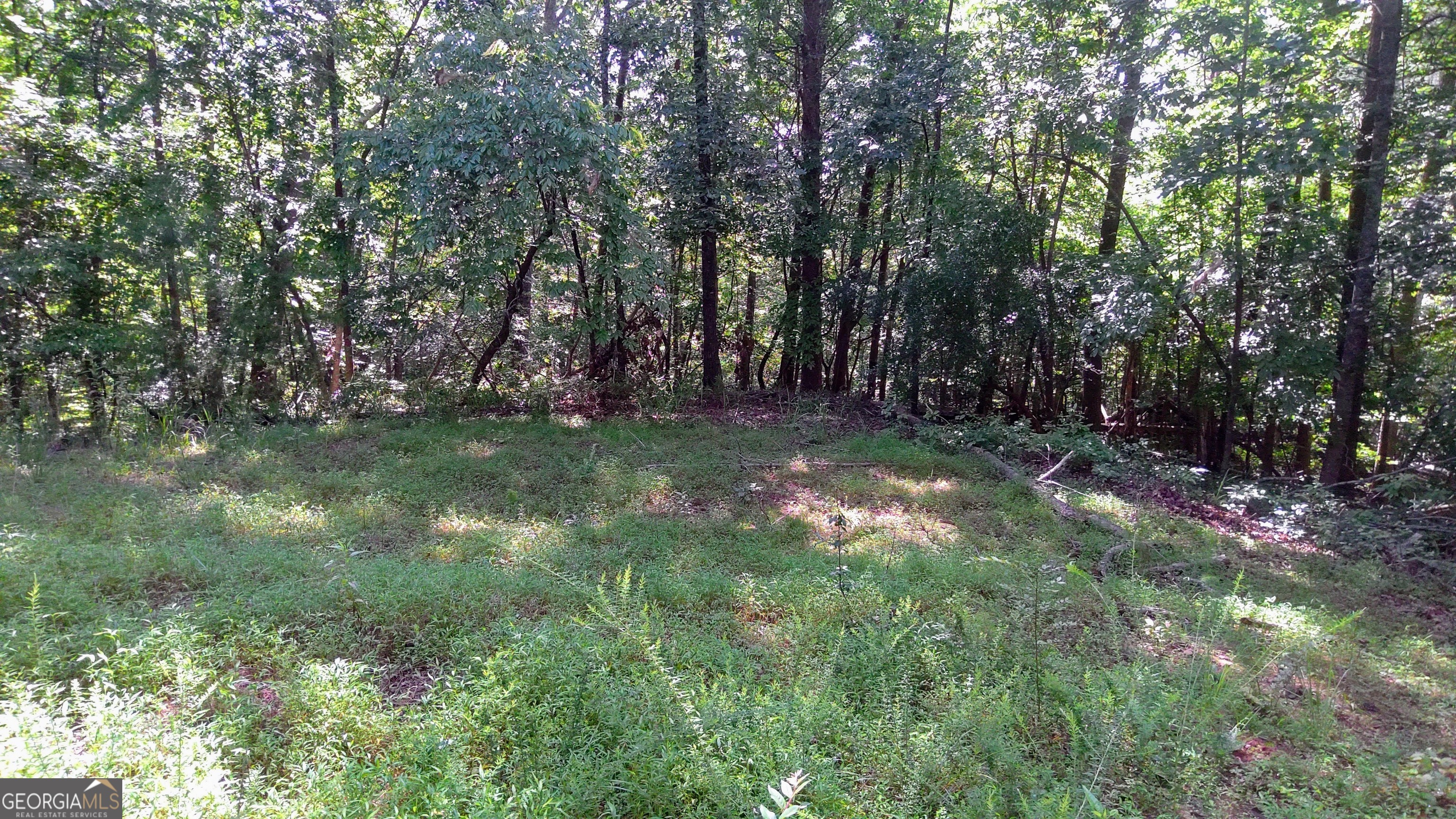 105 Rusty G Place Dawsonville GA 30534