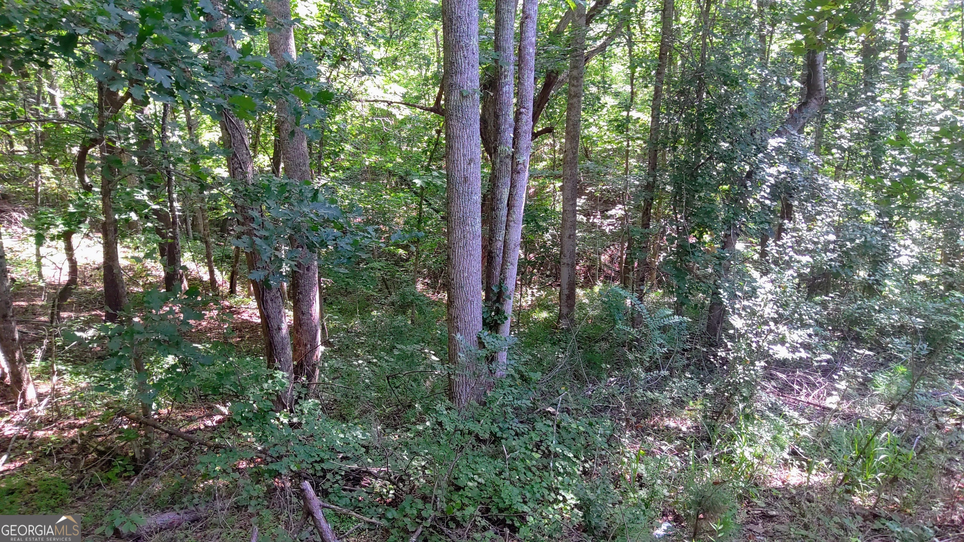 105 Rusty G Place Dawsonville GA 30534