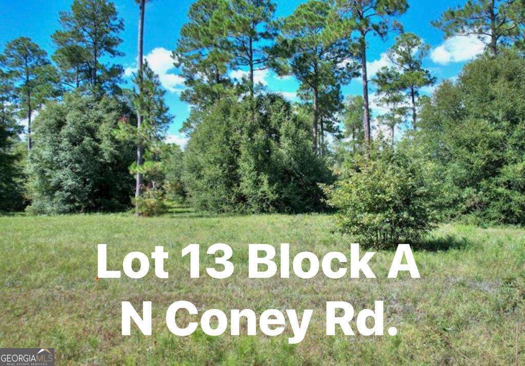 0 N Coney Road Lot 13 Block A Cordele GA 31015