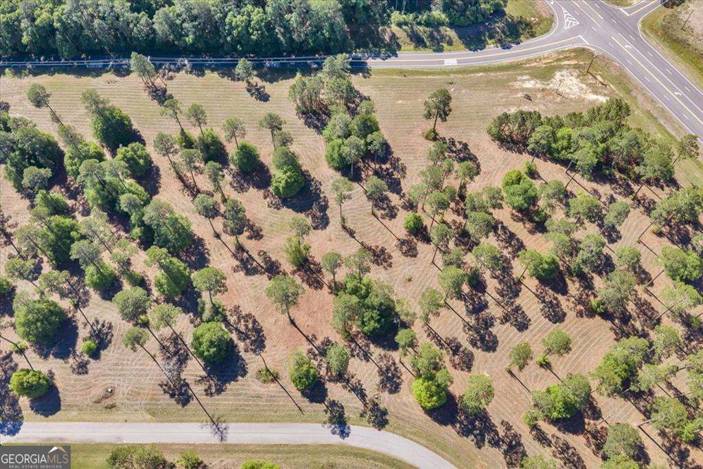 0 N Coney Road Lot 13 Block A Cordele GA 31015