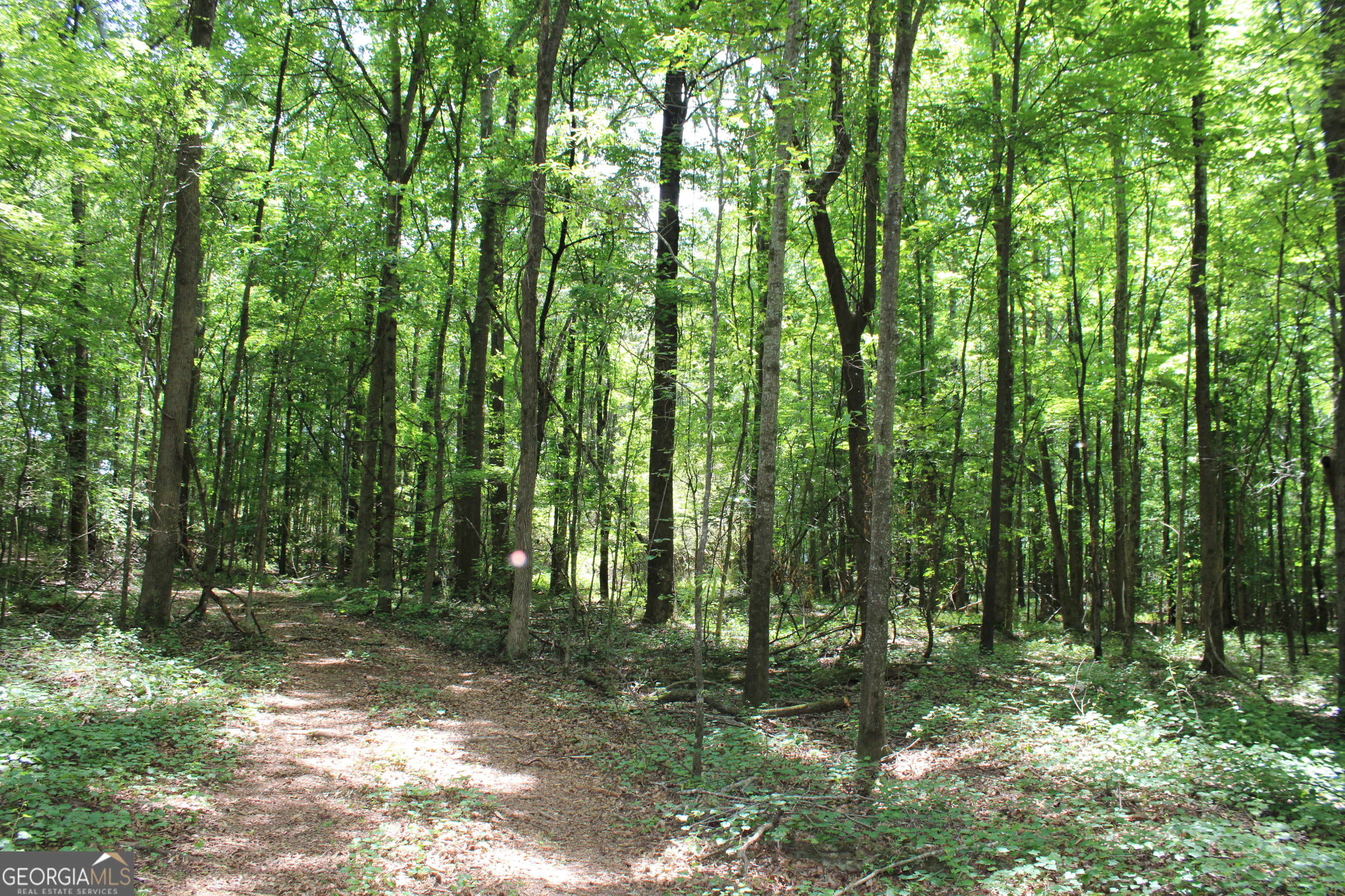 2 Neese Commerce Road Commerce GA 30529