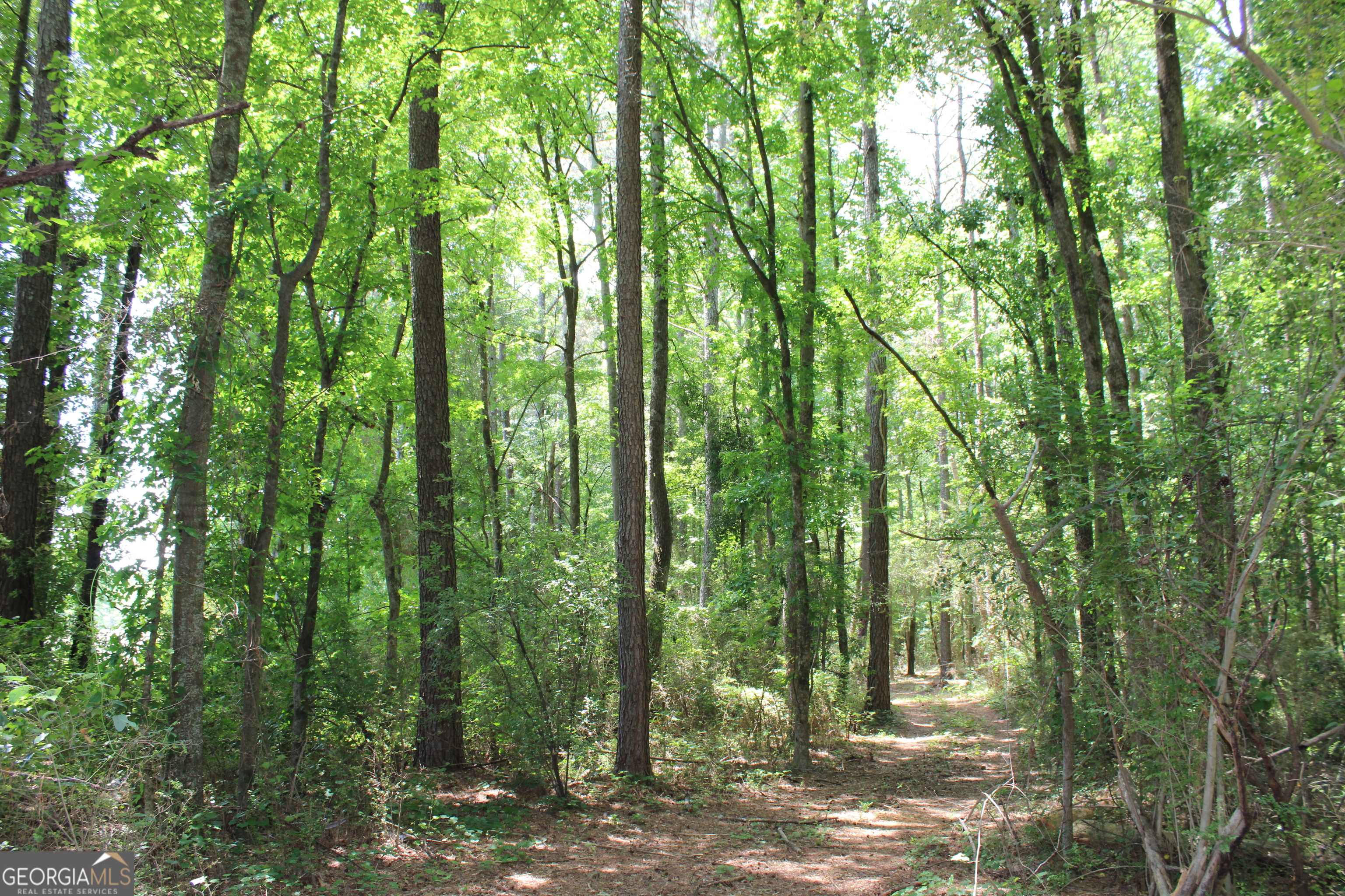 2 Neese Commerce Road Commerce GA 30529
