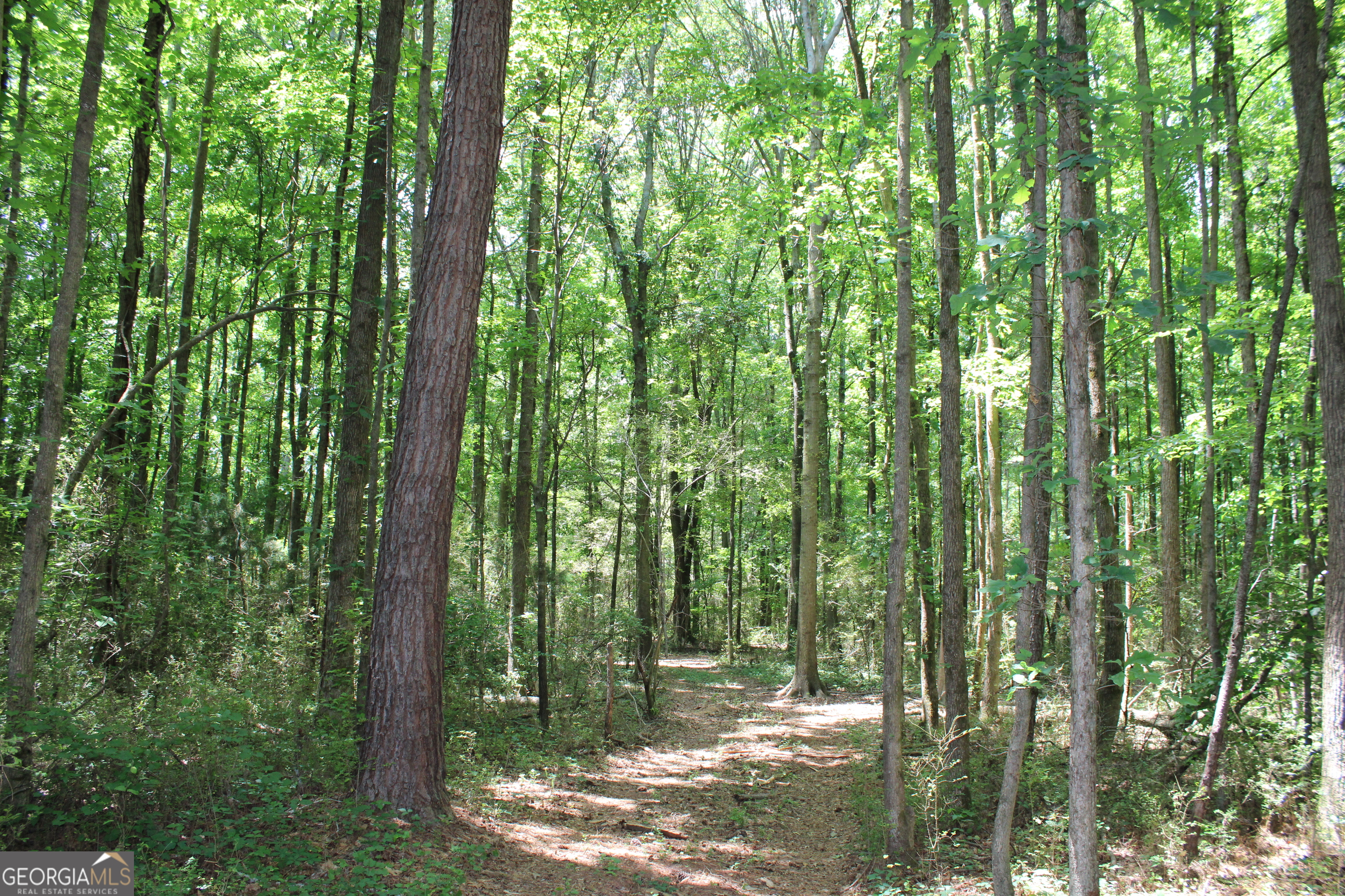 2 Neese Commerce Road Commerce GA 30529