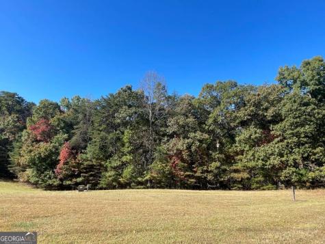 Lot 106 Red Maple Lane Blairsville GA 30512