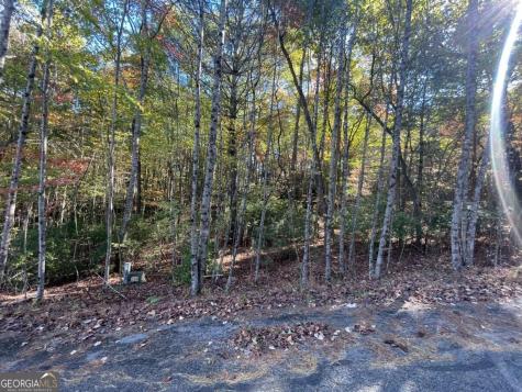 Lot 106 Red Maple Lane Blairsville GA 30512