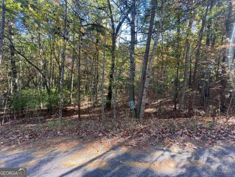 Lot 106 Red Maple Lane Blairsville GA 30512