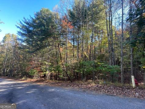 Lot 106 Red Maple Lane Blairsville GA 30512