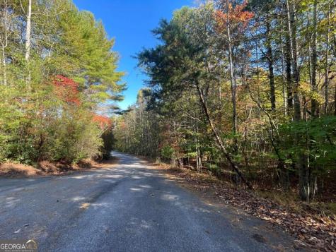Lot 106 Red Maple Lane Blairsville GA 30512