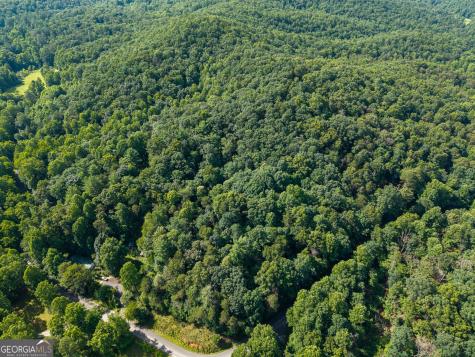 5198 Flat Branch Road Ellijay GA 30540
