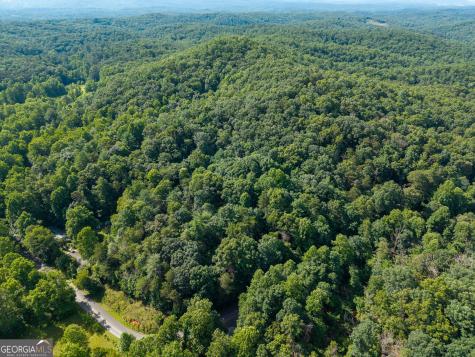5198 Flat Branch Road Ellijay GA 30540