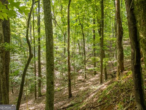 5198 Flat Branch Road Ellijay GA 30540