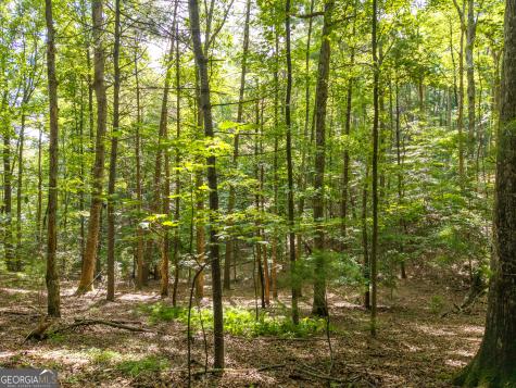 5198 Flat Branch Road Ellijay GA 30540
