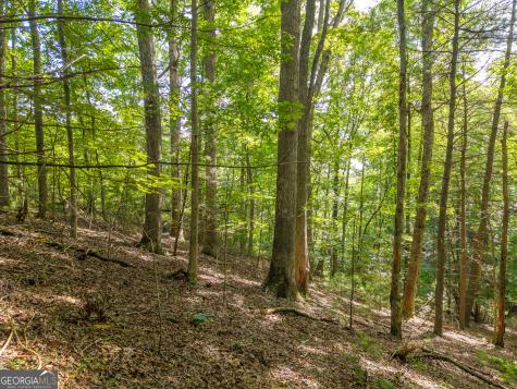 5198 Flat Branch Road Ellijay GA 30540