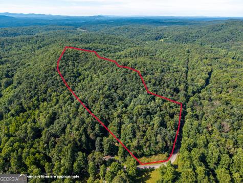 5198 Flat Branch Road Ellijay GA 30540