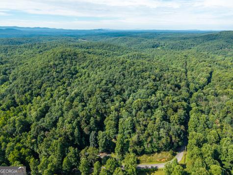 5198 Flat Branch Road Ellijay GA 30540
