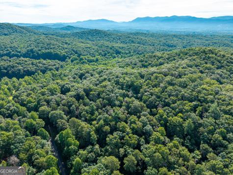 5198 Flat Branch Road Ellijay GA 30540