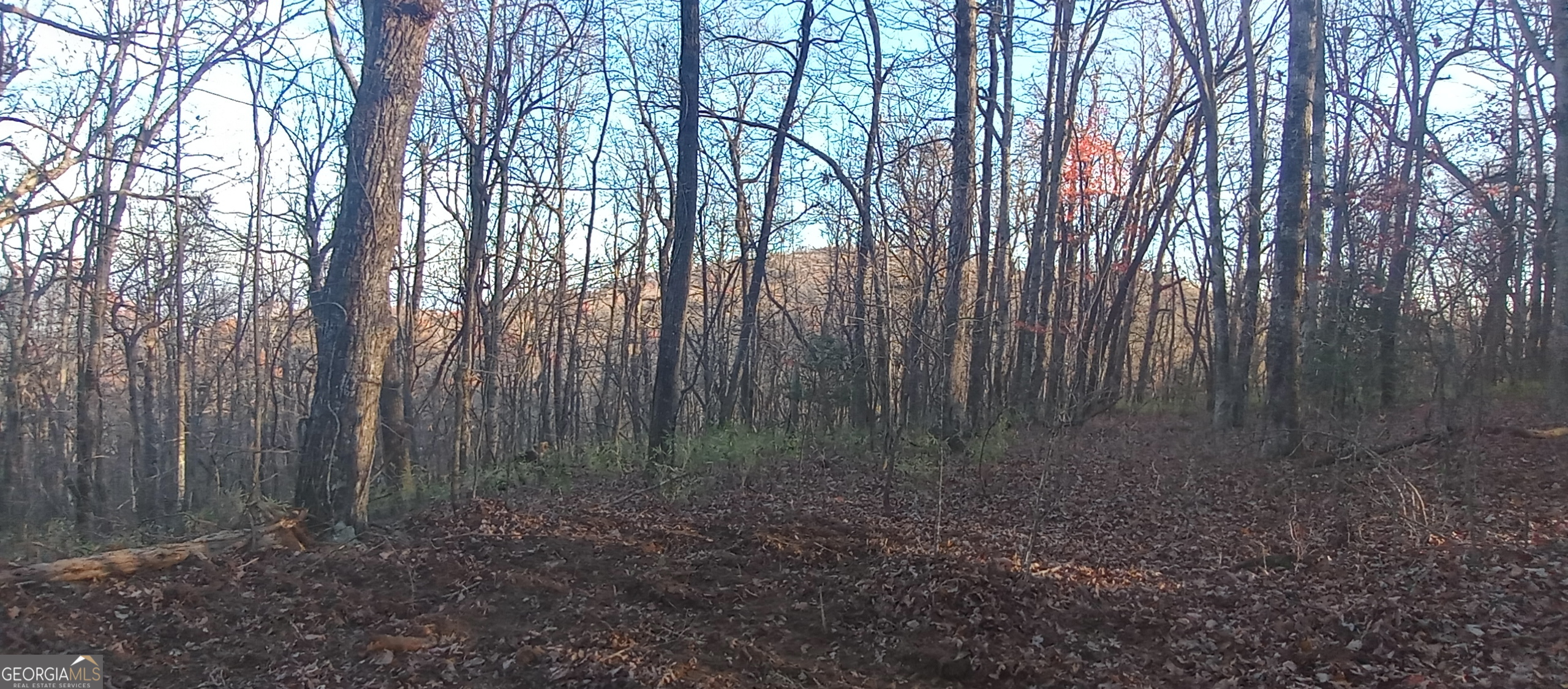 0 Lower Sassafras Parkway Jasper GA 30143