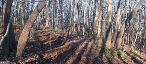0 Lower Sassafras Parkway Jasper GA 30143