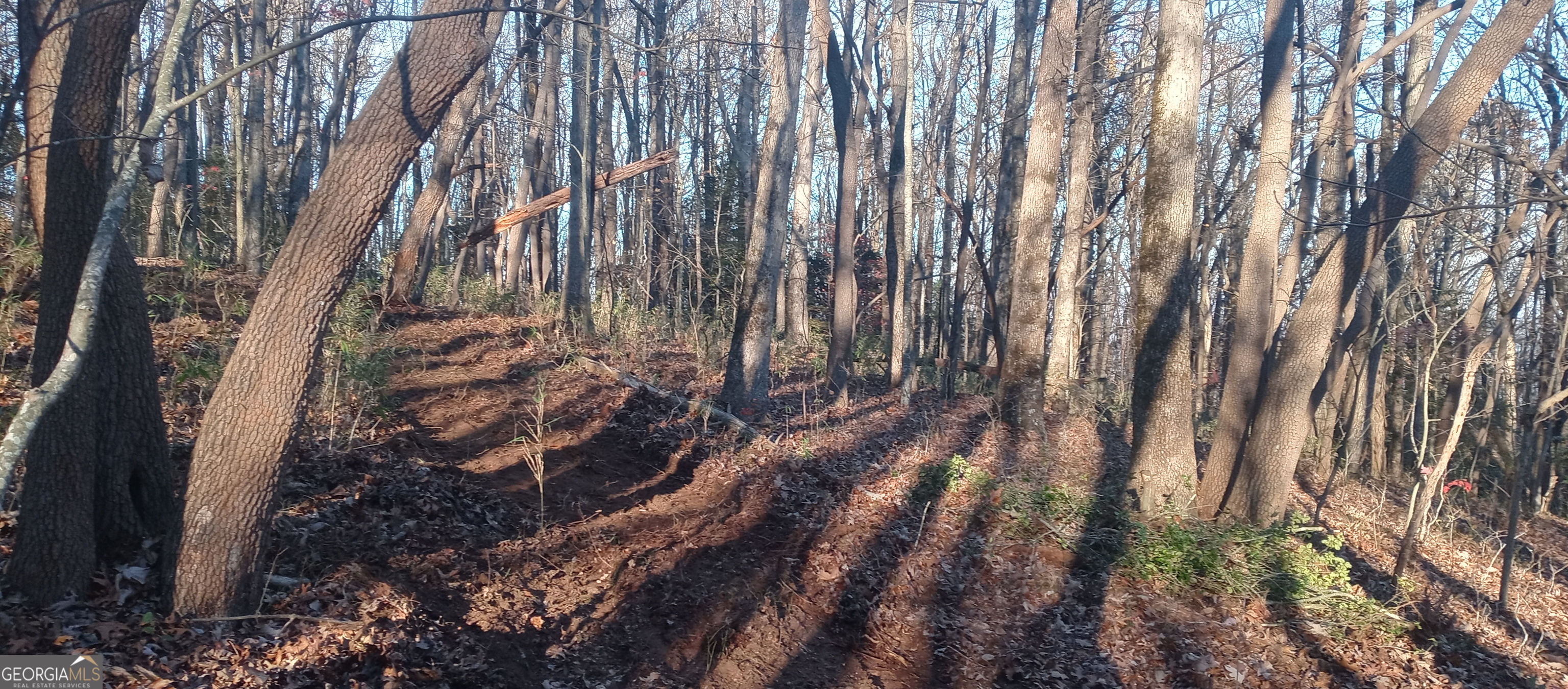 0 Lower Sassafras Parkway Jasper GA 30143