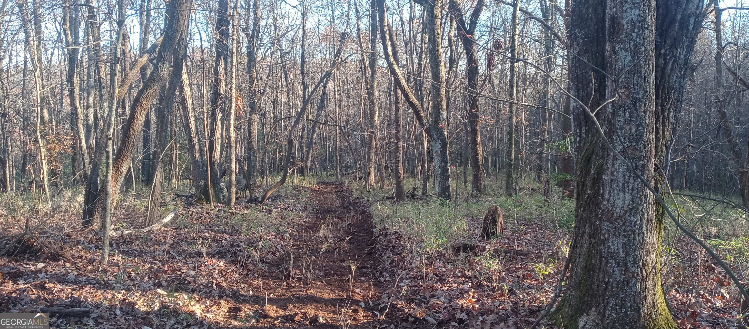 0 Lower Sassafras Parkway Jasper GA 30143