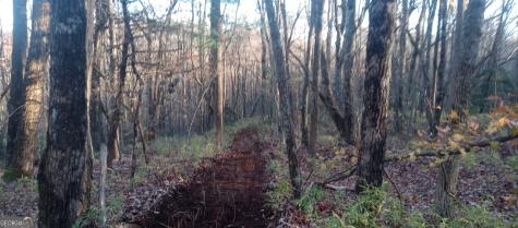 0 Lower Sassafras Parkway Jasper GA 30143