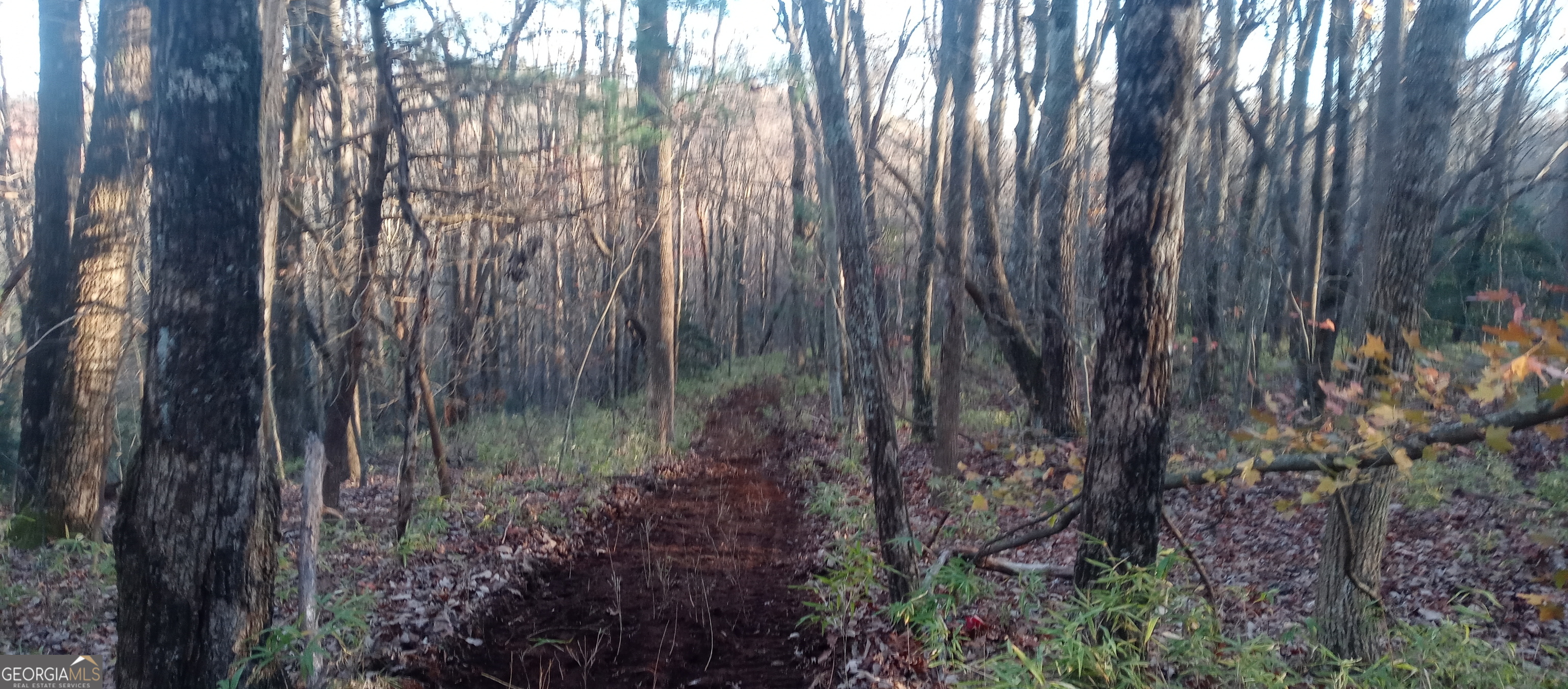 0 Lower Sassafras Parkway Jasper GA 30143