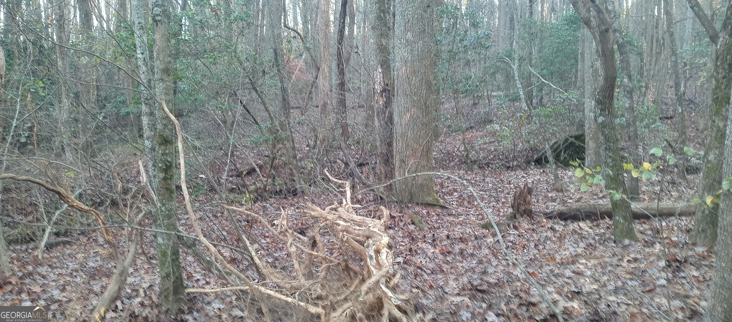 0 Lower Sassafras Parkway Jasper GA 30143