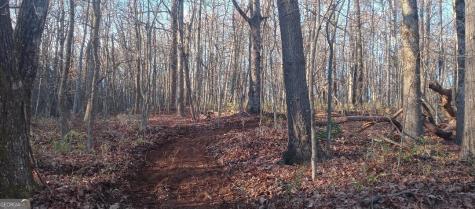 0 Lower Sassafras Parkway Jasper GA 30143